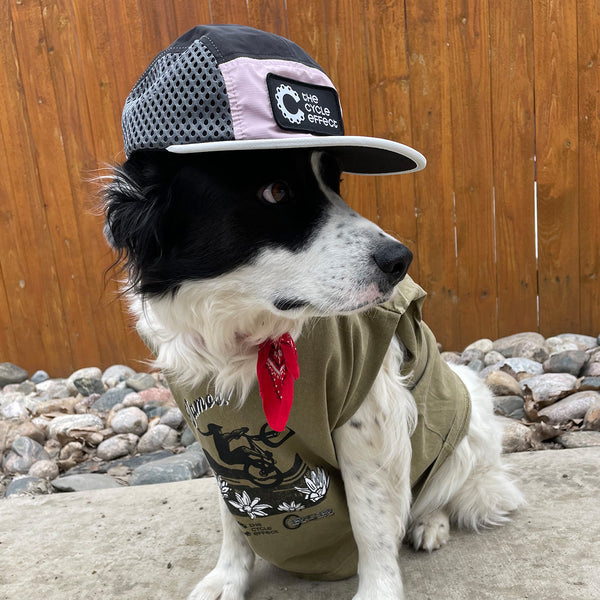 Pronto 2.0 - The Cycle Effect