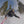 Ski Town All-Stars Pink Pole Posse Ski Poles