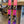 2026 Rossignol Sender Free 100 + Marker Griffon 13 ID Bindings - BUNDLE DEAL