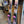 2026 Blizzard Black Pearl 88 + Marker Squire 11 BUNDLE DEAL