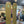 2024 FISCHER RANGER 116 (180cm) + ATTACK 14 DEMO BINDINGS - USED