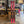2026 FISCHER CURV GT 80 W (166cm) + RSW 11 DEMO BINDINGS - USED