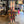 2027 Dynastar M-Free 108 FWT Edition + Pivot 15 FWT Edition