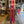 2027 FISCHER RANGER 102 (183CM ) + STRIVE 13 GW DEMO BINDINGS