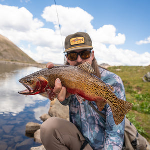 THE SELDOM CORD - MOUNTAIN TROUT