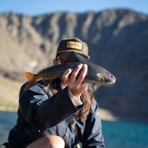 THE SELDOM CORD - MOUNTAIN TROUT