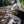 THE SELDOM TECH - MOUNTAIN TROUT