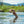 THE SELDOM - MOUNTAIN TROUT